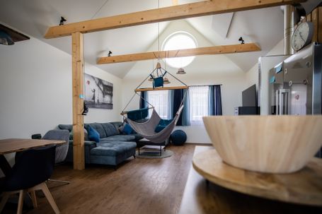 Wohnraum mit Traumschwinger